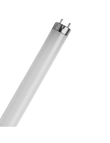 Shatterproof 2' 18w T8 Coversafe Fluorescent Tube - Cool White / 4000k (G13 Cap)