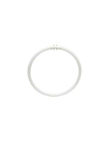 22w Bell T9 Circular triphosphor fluorescent tube 840 cool white 